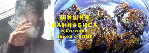 тгк Болотное
