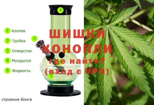 мяу мяу мука Болхов